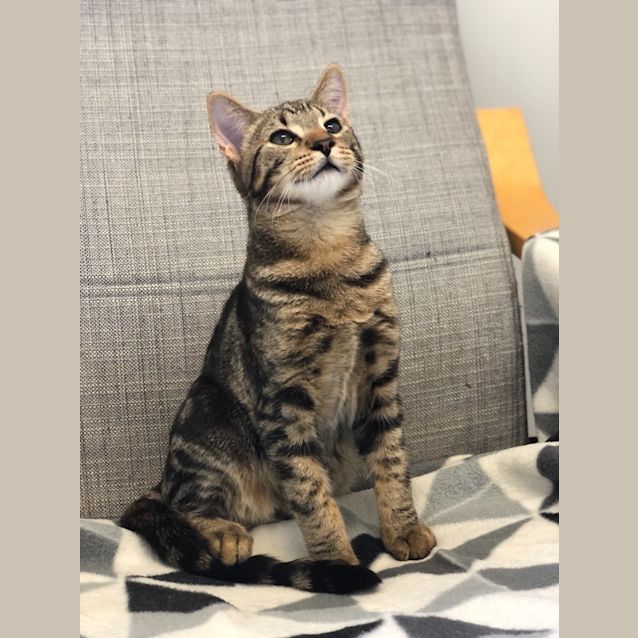 Photo of Vincent