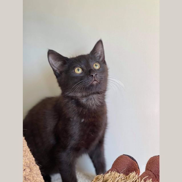 Photo of Astro