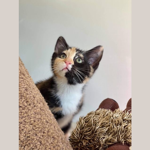 Photo of Spice
