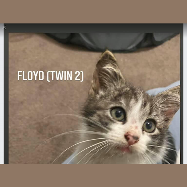 Photo of Floyd