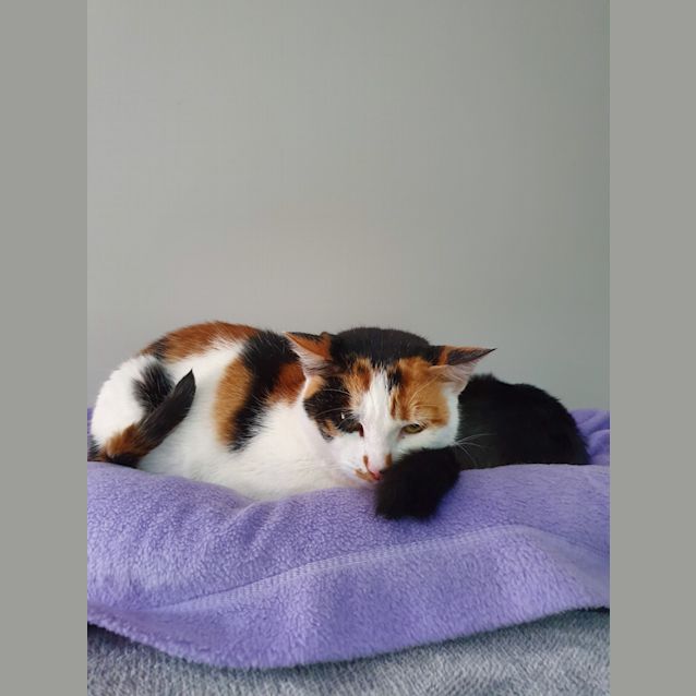 Photo of Rosie
