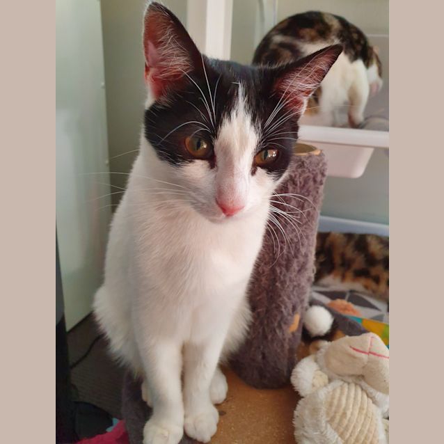 Photo of Maggie