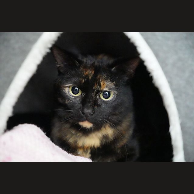 Photo of Mabel