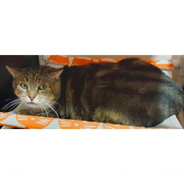 Photo of 1947   Reggie