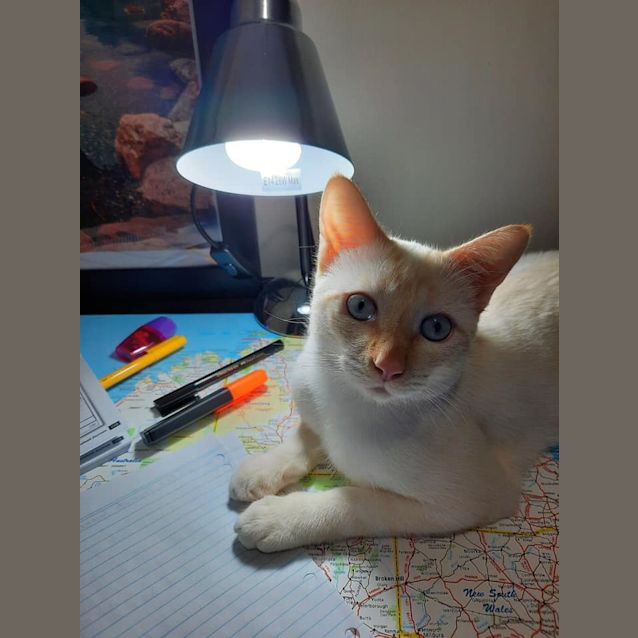 Photo of Mischka