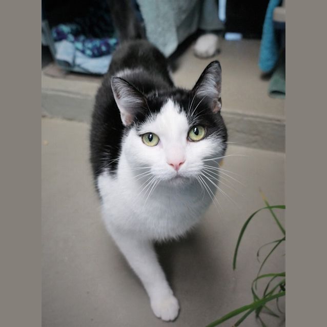 Photo of Bertie