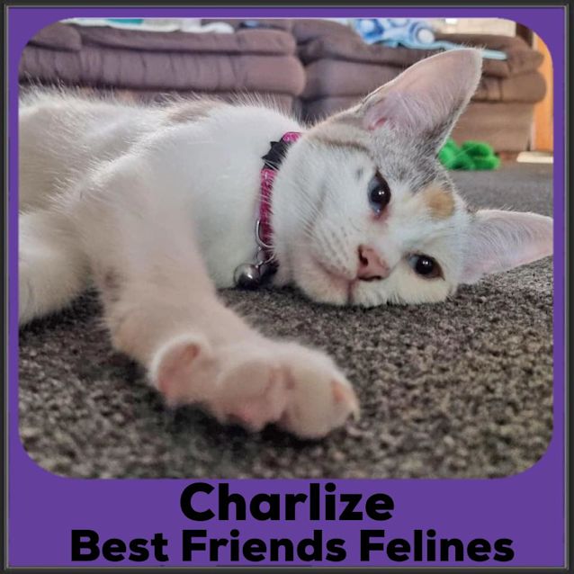 Photo of Charlize