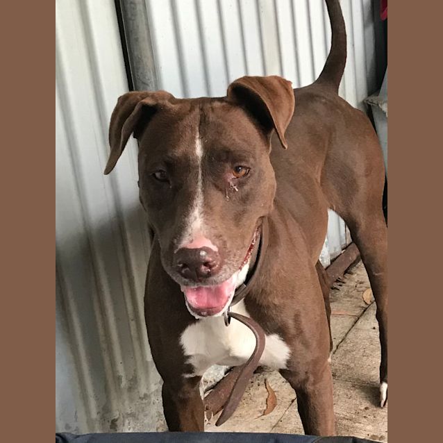 Photo of Polly