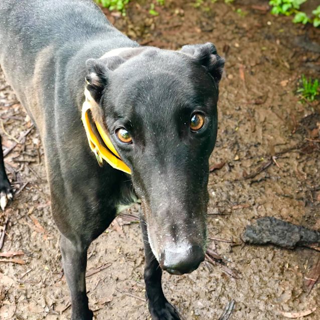 Photo of Jean Claude