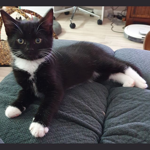 Photo of Boots