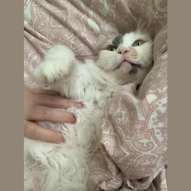 Photo of Gemma   Located In Northcote