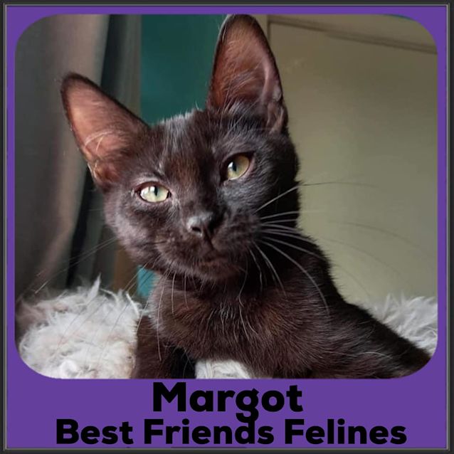 Photo of Margot 