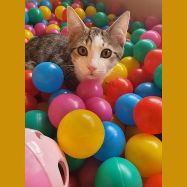 Photo of Charlie 