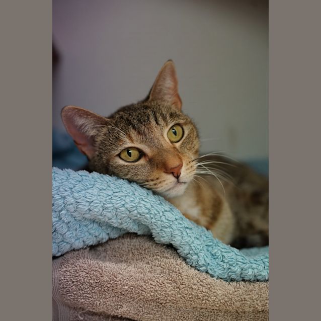 Photo of Ella