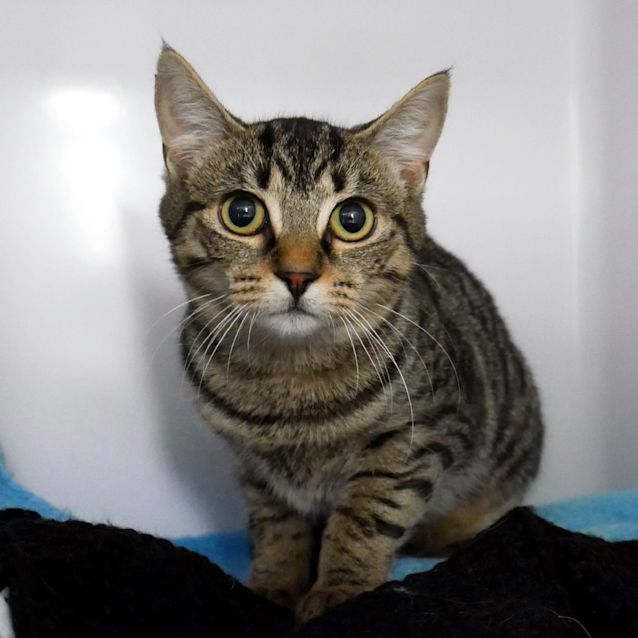 Photo of Heidi Stk006067