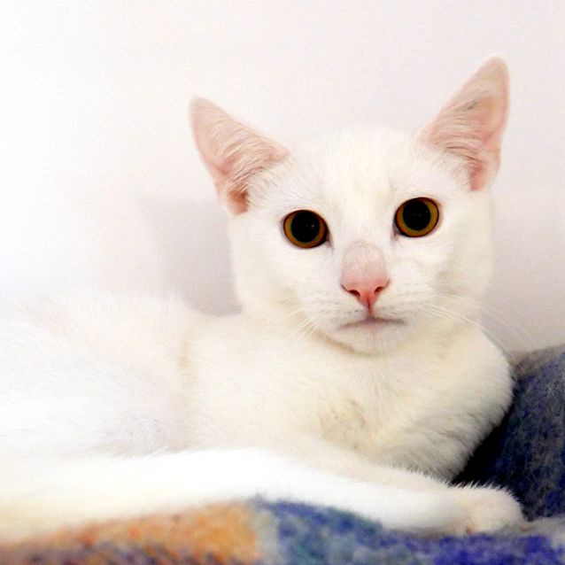 Photo of Freddie Suk006153