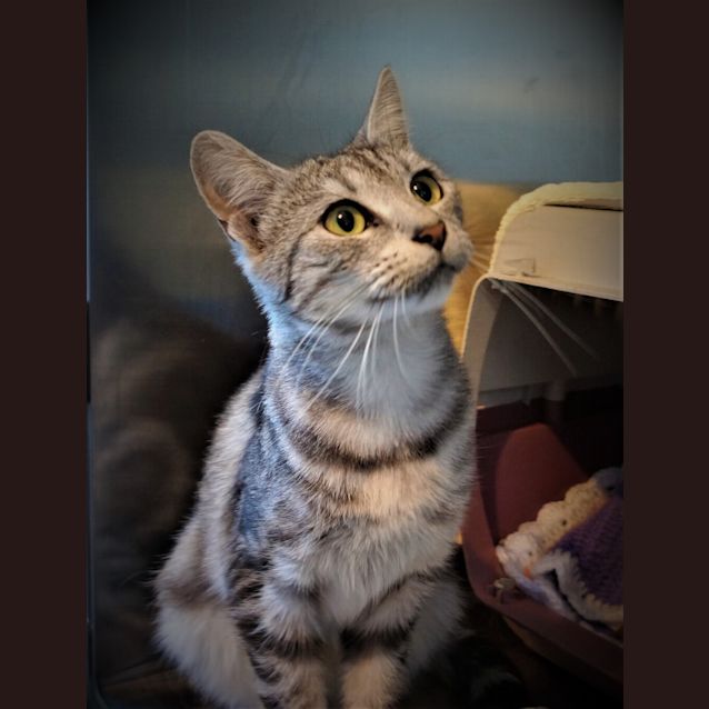 Photo of Jewel