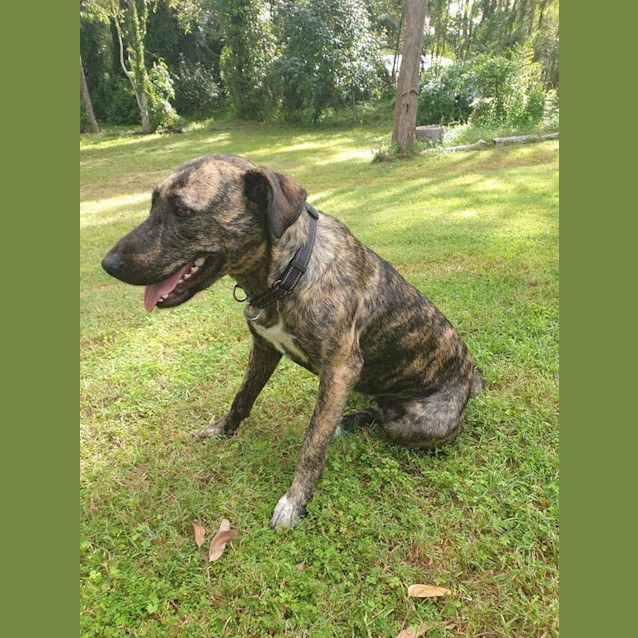 Photo of Molly