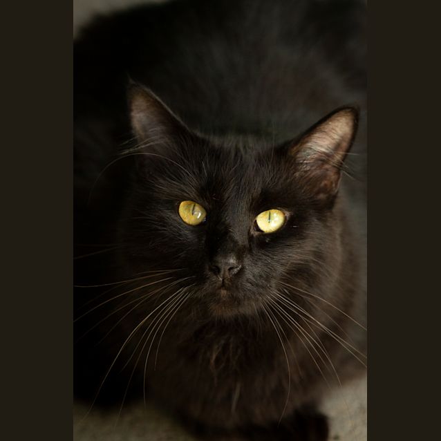 Photo of Zavier