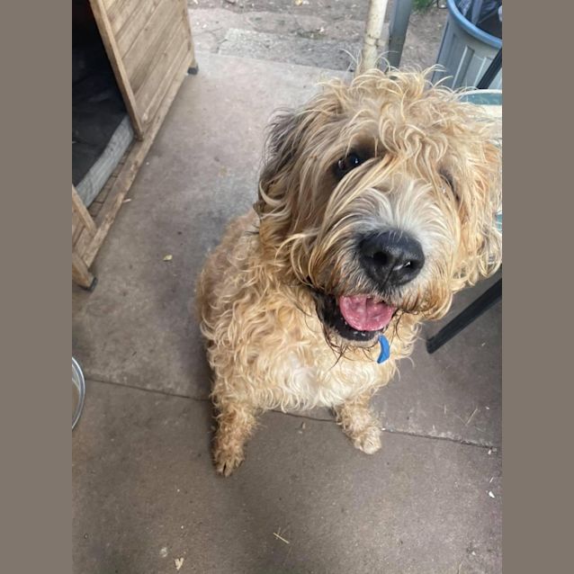 Photo of Nellie Bear 