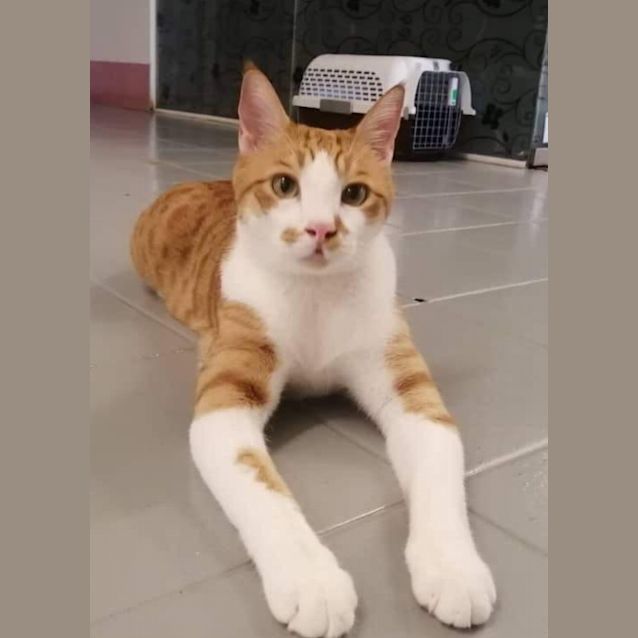 Photo of Bu Bu