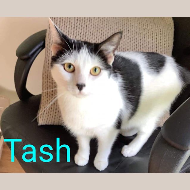 Photo of Tash