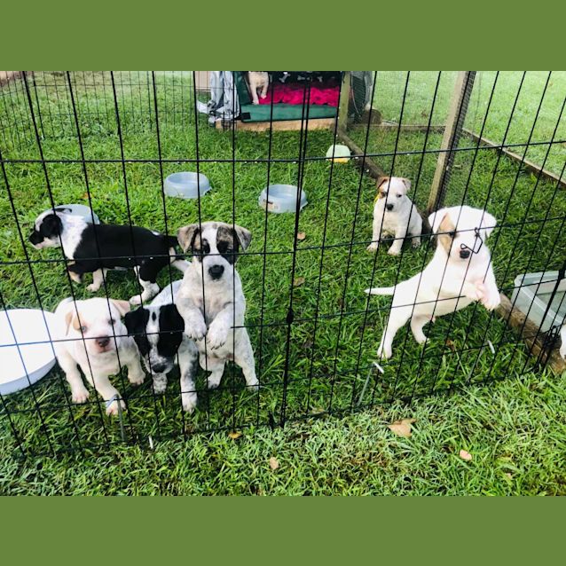 Photo of Expression Of Interest 