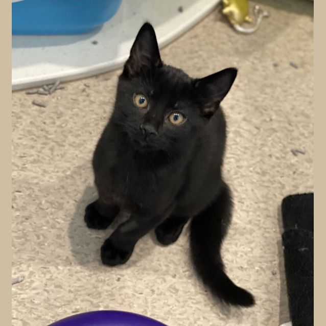 Photo of Billy