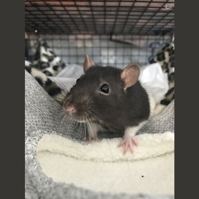 Photo of Ursula