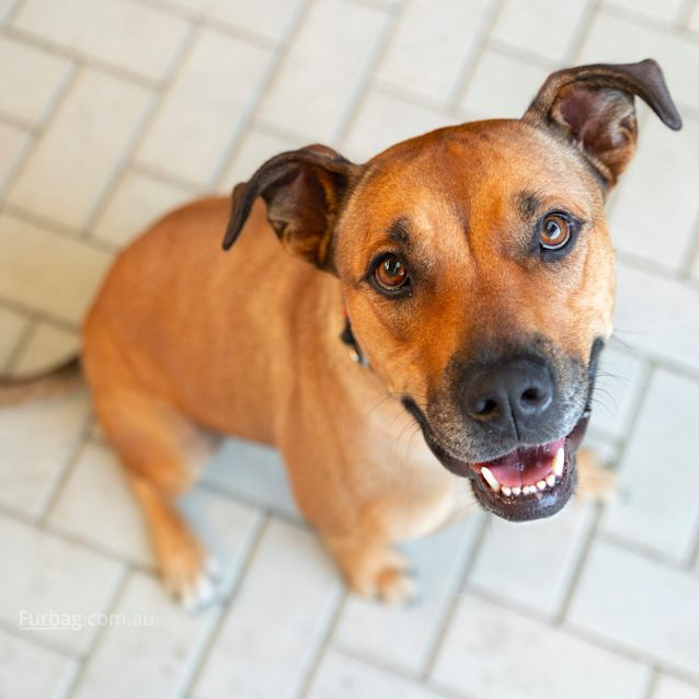 Photo of Millie Dl2598