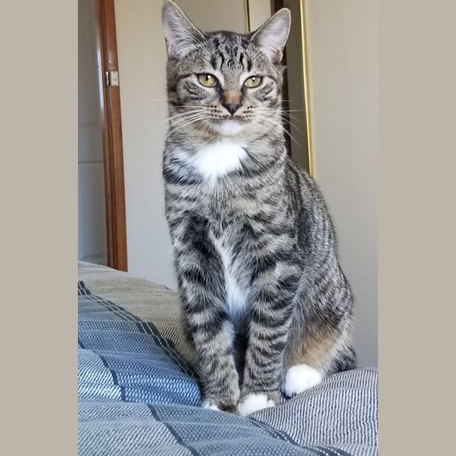 Photo of Windy