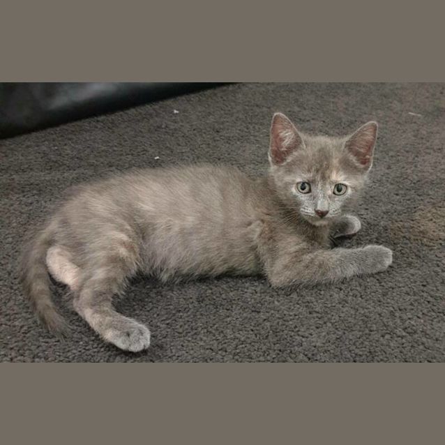 Photo of Evie