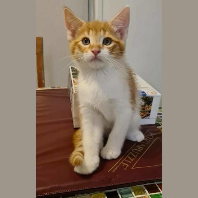 Photo of Jethro