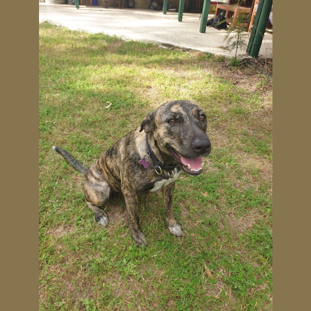 Photo of Molly