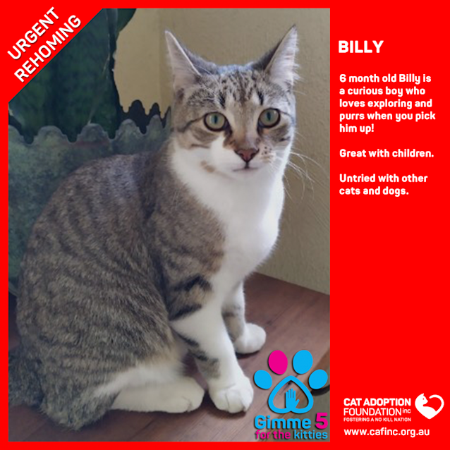 Photo of Billy