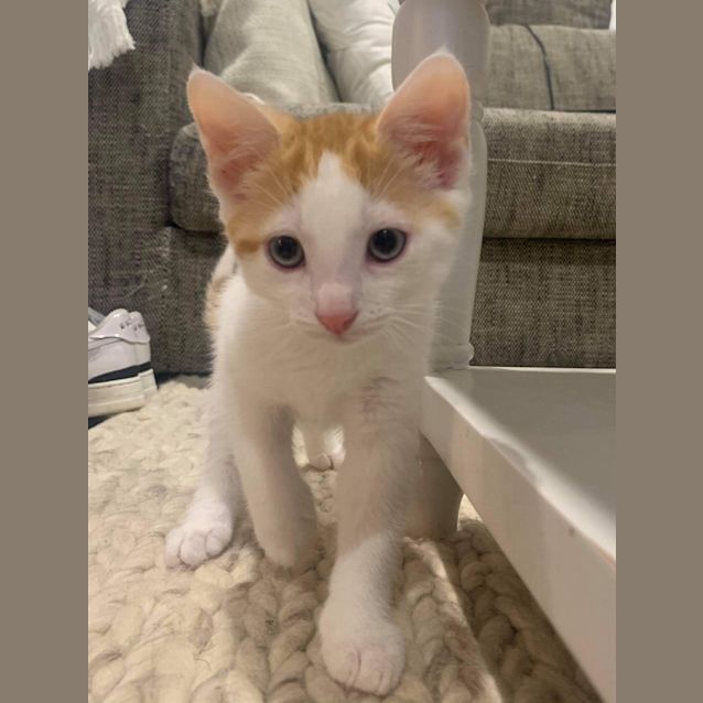 Photo of Max