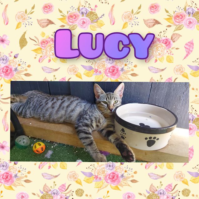 Photo of Lucy 