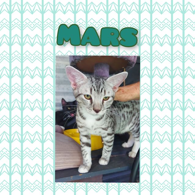 Photo of Mars 