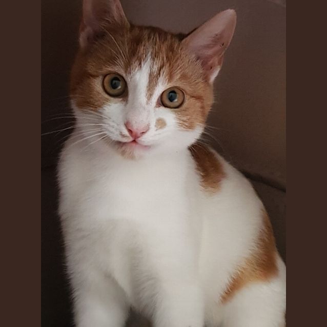 Photo of Olivia