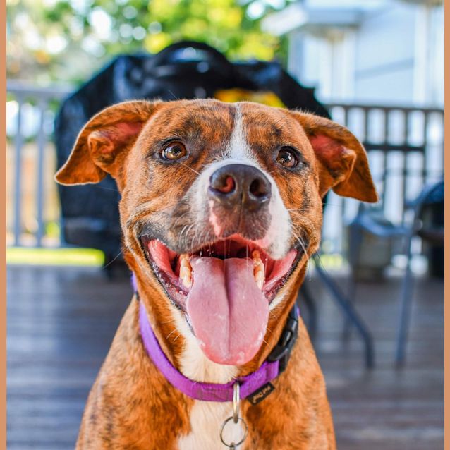 Photo of Molly