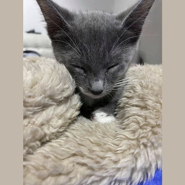 Photo of Charlie
