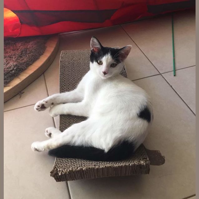 Photo of Fudge & Toffee