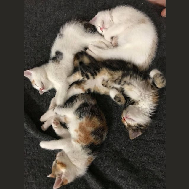 Photo of Patti And Chrissy