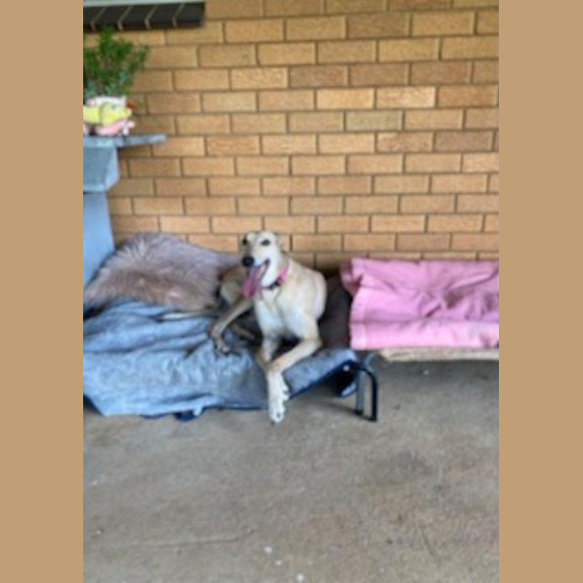 Photo of Mia