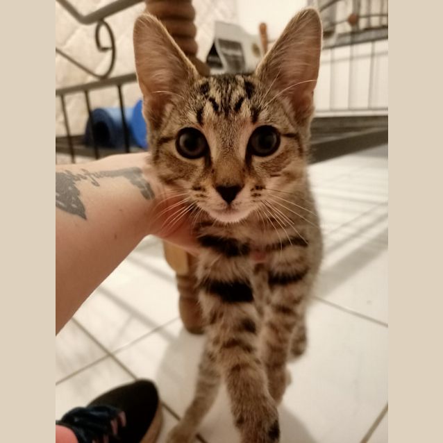 Photo of George Clooney