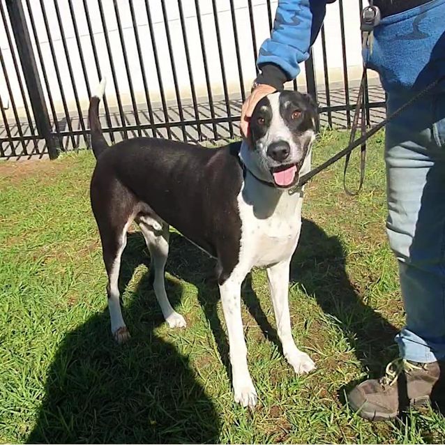 Photo of Monty Dl2651