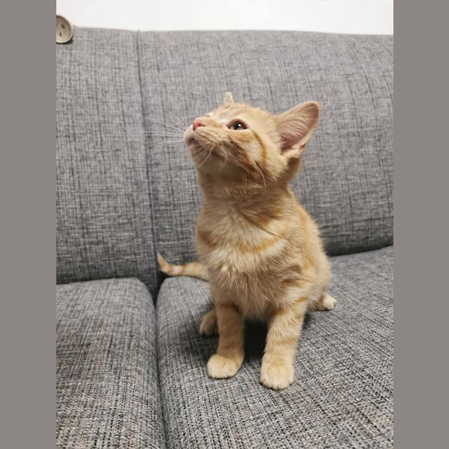 Photo of Mia