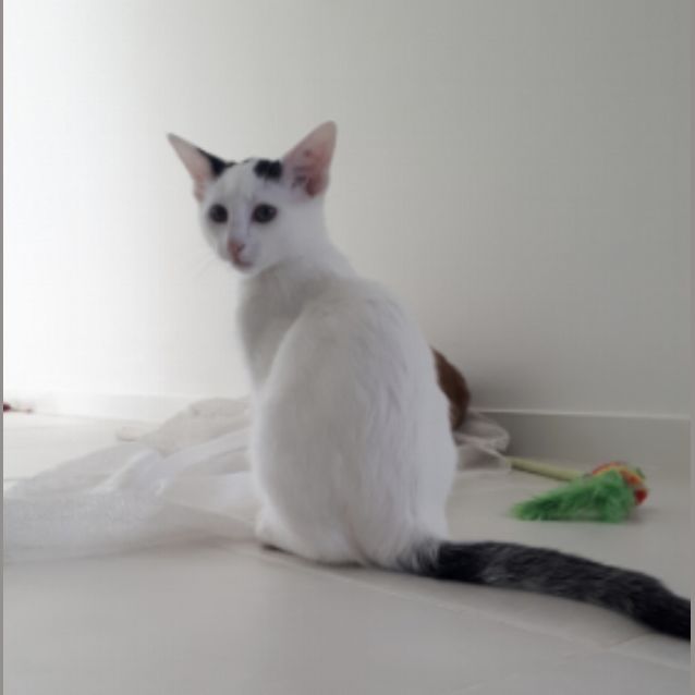 Photo of Zani