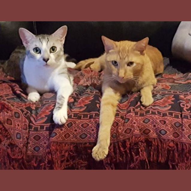 Photo of Ash And Zac