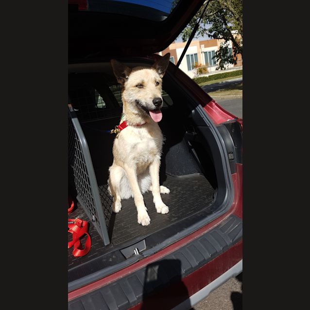Photo of Bella